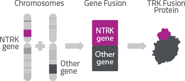 graph-ntrkFusions.png