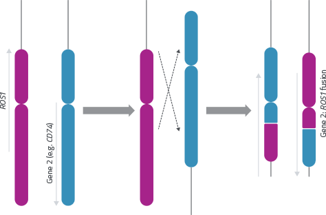 graph-ros1.png