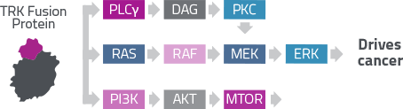 graph-signalling.png